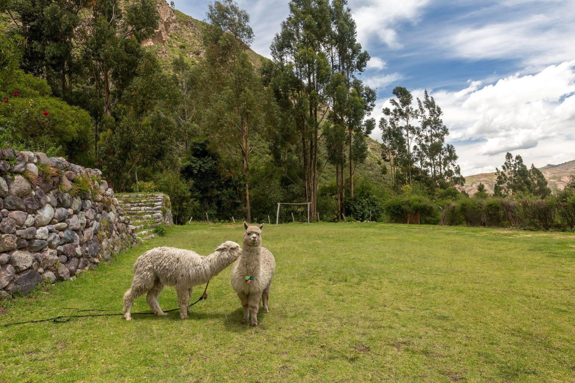 Hotel Hacienda Del Valle Urubamba Luaran gambar