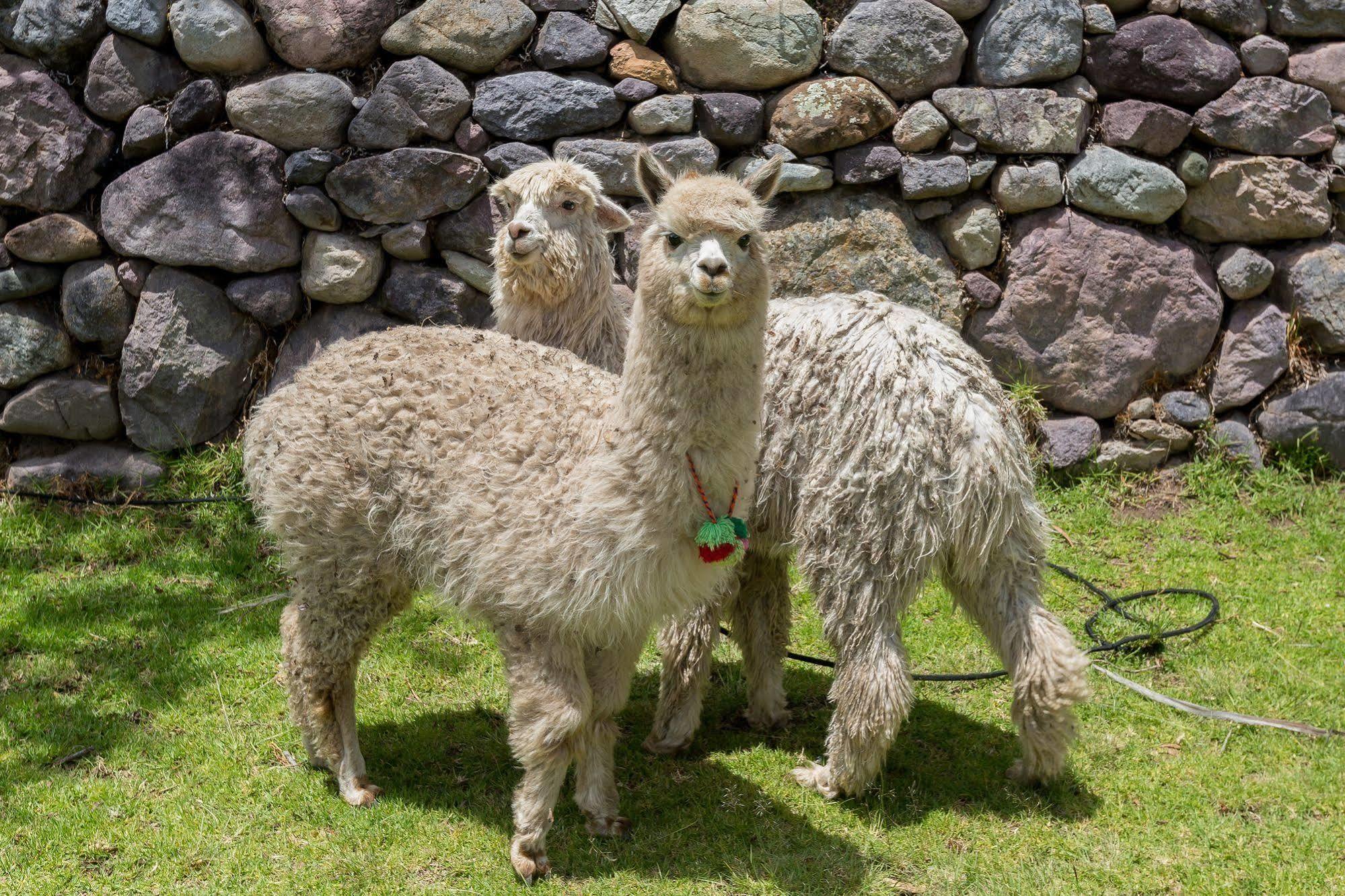 Hotel Hacienda Del Valle Urubamba Luaran gambar